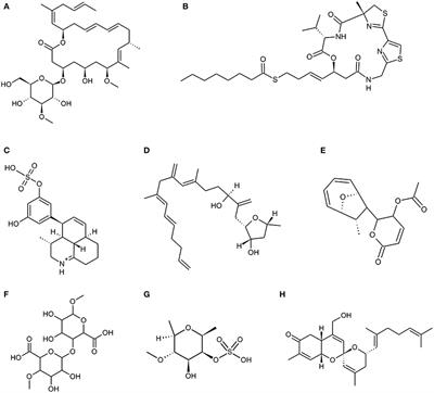 Marine Natural Products: New Avenue in Treatment of Osteoporosis